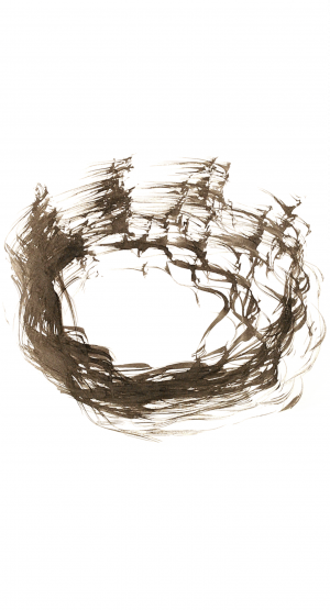 Coroana Krone - Gerli Höfer