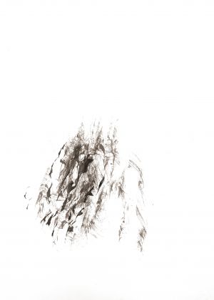 Gerli Höfer Tuschezeichnung