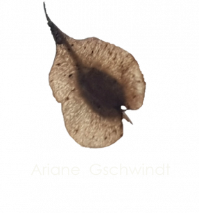 Same - Ariane Gschwindt