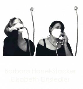 Lockdown Crazyness  -  Barbara Hanel-Stocker 